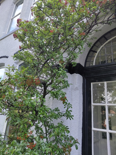 18 Scarisbrick New Road